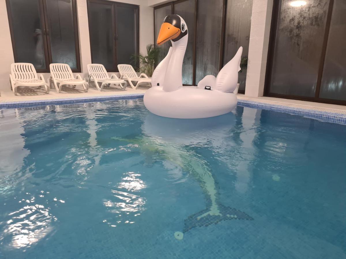 Pensiunea Gold Wellness&Spa Chiscau Ngoại thất bức ảnh